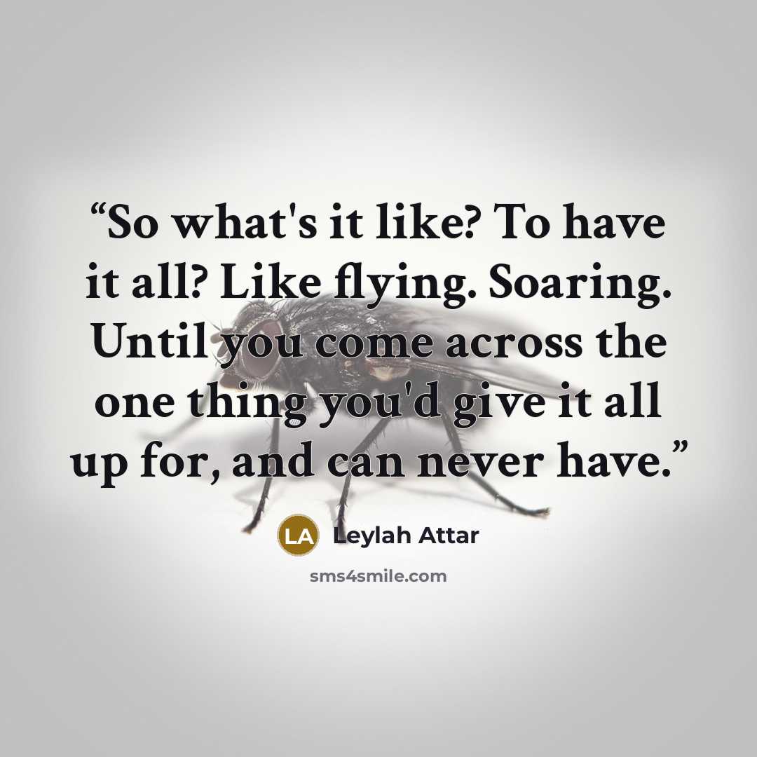 “So what's it like? To have it all? Like flying. Soaring. Until you come across the one thing you'd give it all up for, and can never have.” quote by Leylah Attar