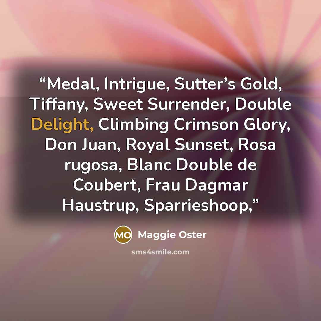 “Medal, Intrigue, Sutter’s Gold, Tiffany, Sweet Surrender, Double Delight, Climbing Crimson Glory, Don Juan, Royal Sunset, Rosa rugosa, Blanc Double de Coubert, Frau Dagmar Haustrup, Sparrieshoop,” quote by Maggie Oster
