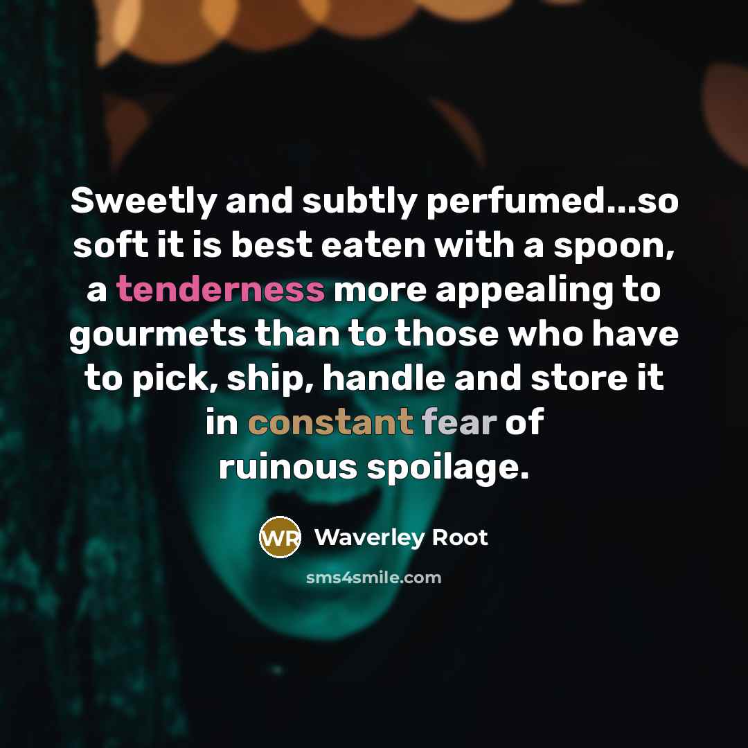 “Sweetly and subtly perfumed...so soft it is best eaten with a spoon, a tenderness more appealing to gourmets than to those who have to pick, ship, handle and store it in constant fear of ruinous spoilage.” quote by Waverley Root