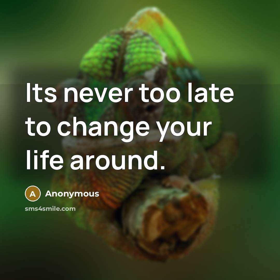 “Its never too late to change your life around.” quote by Anonymous