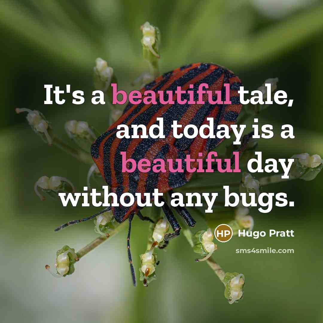“It's a beautiful tale, and today is a beautiful day without any bugs.” quote by Hugo Pratt