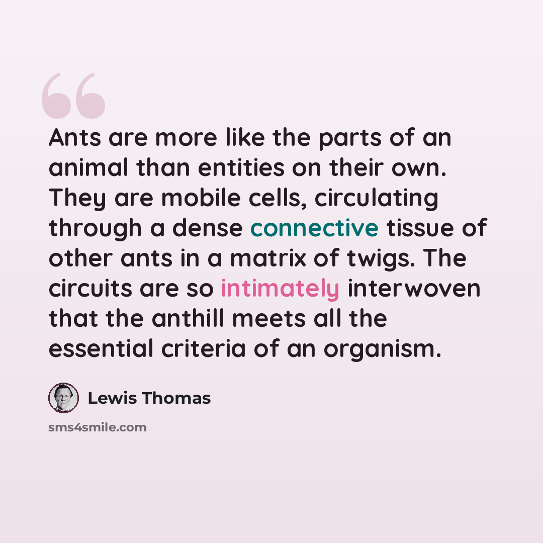 “Ants are more like the parts of an animal than entities on their own. They are mobile cells, circulating through a dense connective tissue of other ants in a matrix of twigs. The circuits are so intimately interwoven that the anthill meets all the essential criteria of an organism.” quote by Lewis Thomas