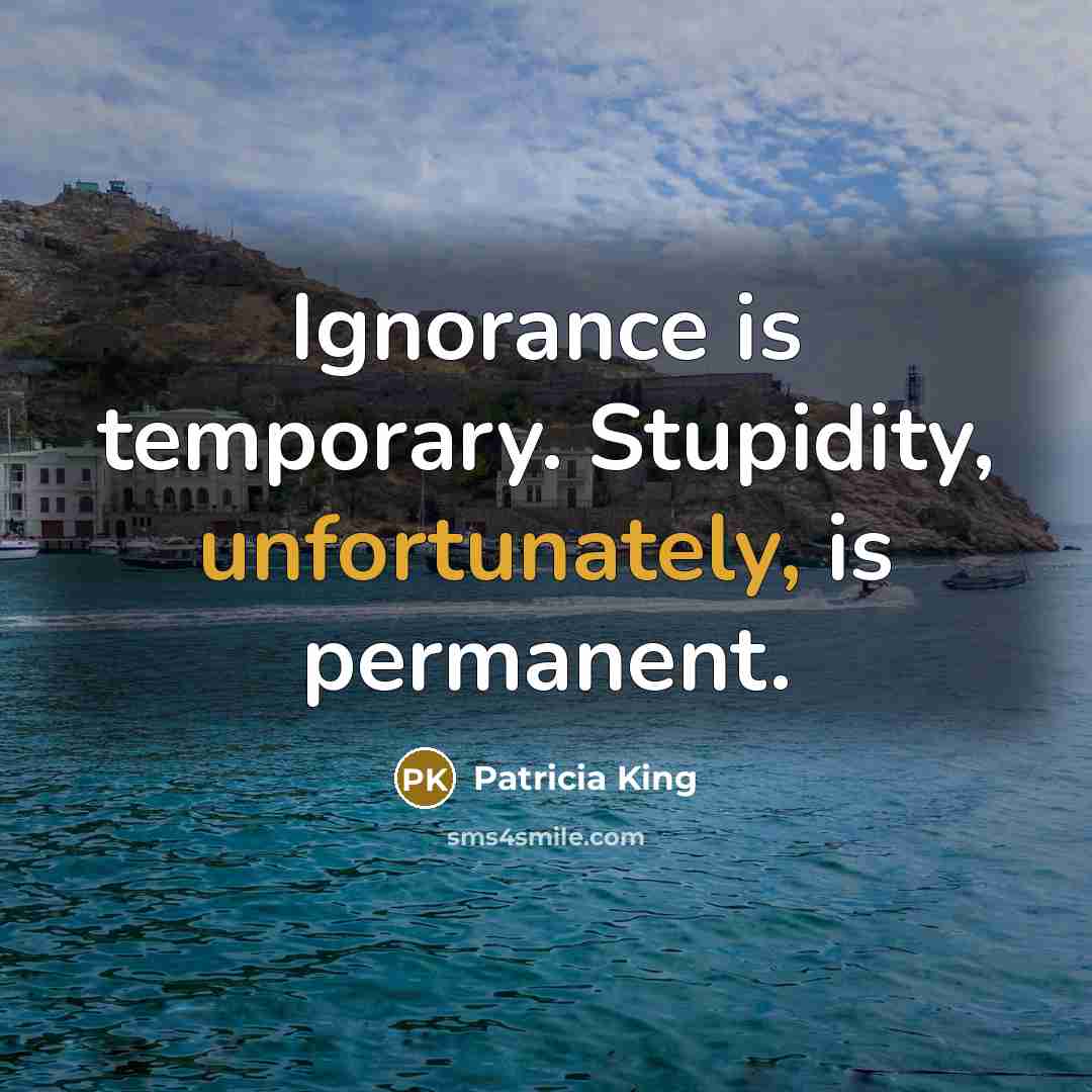 “Ignorance is temporary. Stupidity, unfortunately, is permanent.” quote by Patricia King