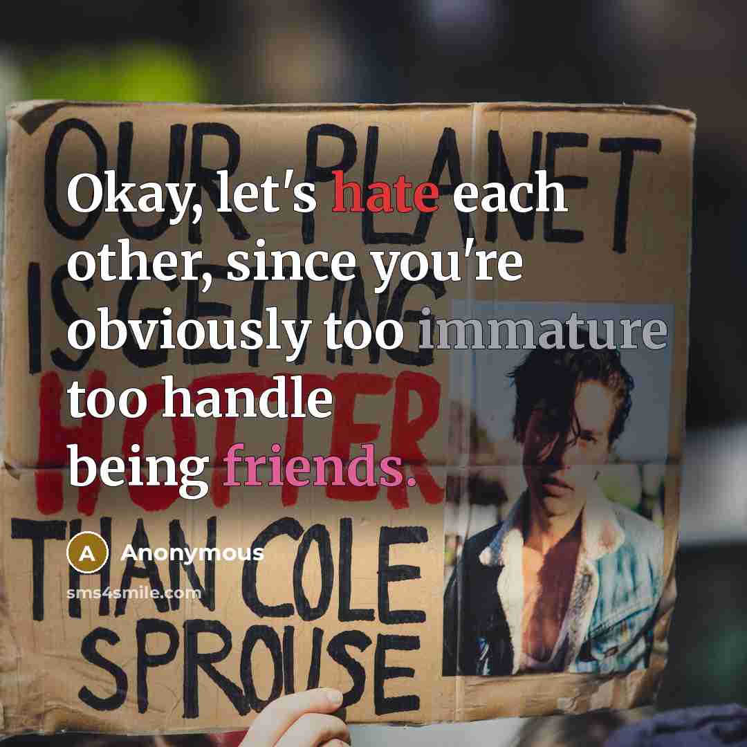 “Okay, let's hate each other, since you're obviously too immature too handle being friends.” quote by Anonymous