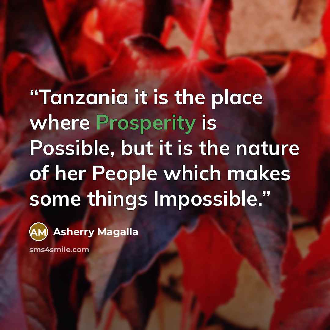 “Tanzania it is the place where Prosperity is Possible, but it is the nature of her People which makes some things Impossible.” quote by Asherry Magalla