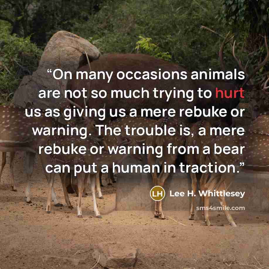 “On many occasions animals are not so much trying to hurt us as giving us a mere rebuke or warning. The trouble is, a mere rebuke or warning from a bear can put a human in traction.” quote by Lee H. Whittlesey