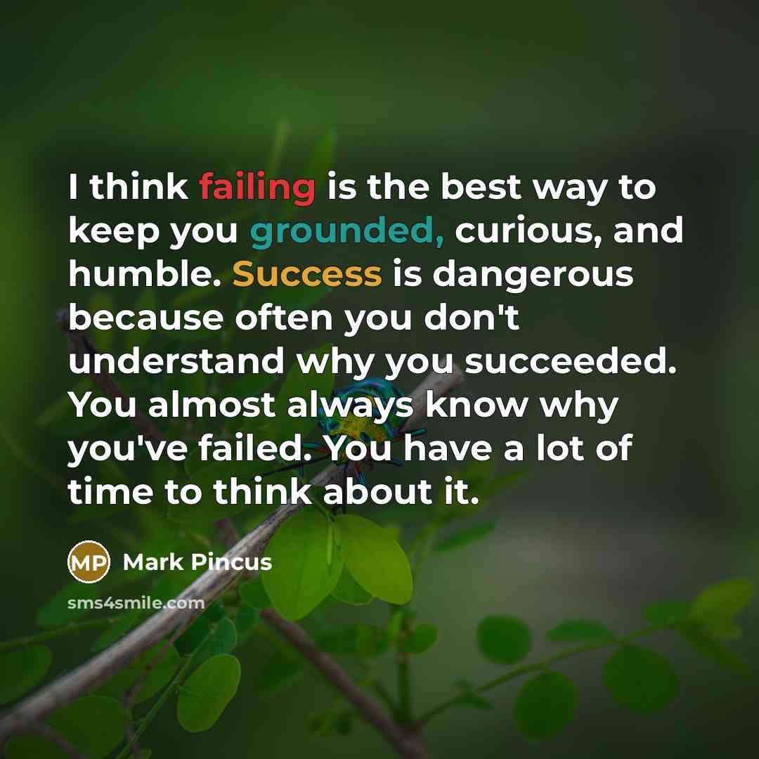 “I think failing is the best way to keep you grounded, curious, and humble. Success is dangerous because often you don't understand why you succeeded. You almost always know why you've failed. You have a lot of time to think about it.” quote by Mark Pincus