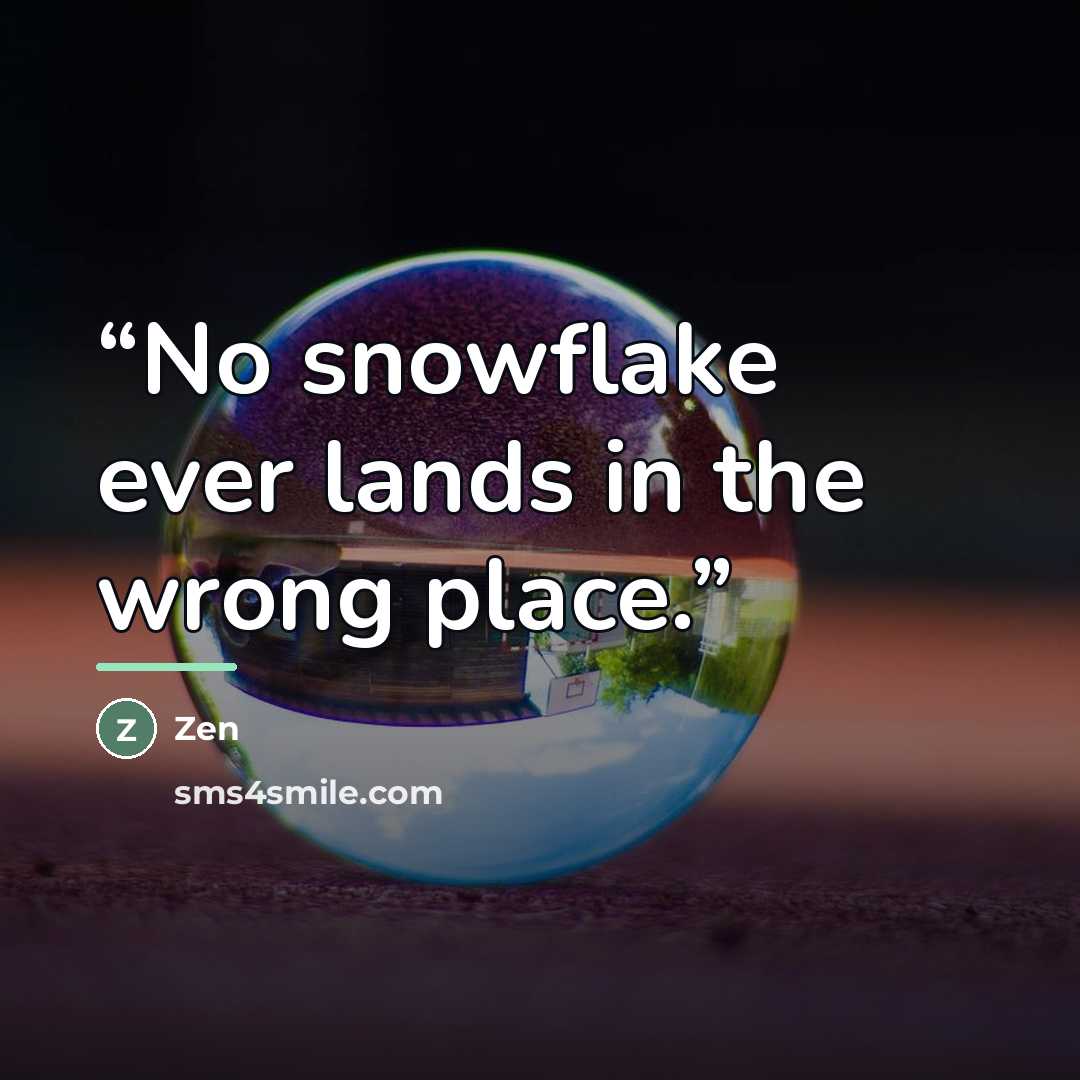 “No snowflake ever lands in the wrong place.” quote by Zen