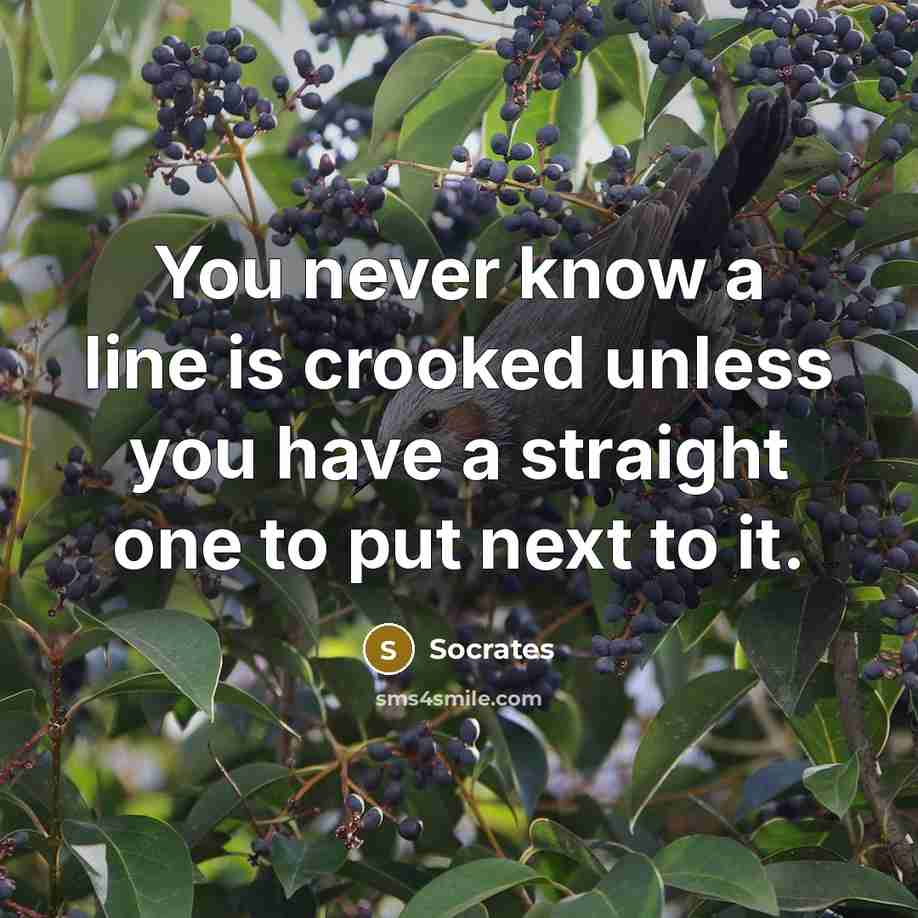 “You never know a line is crooked unless you have a straight one to put next to it.” quote by Socrates
