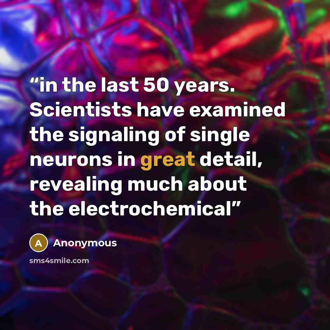 “in the last 50 years. Scientists have examined the signaling of single neurons in great detail, revealing much about the electrochemical” quote by Anonymous