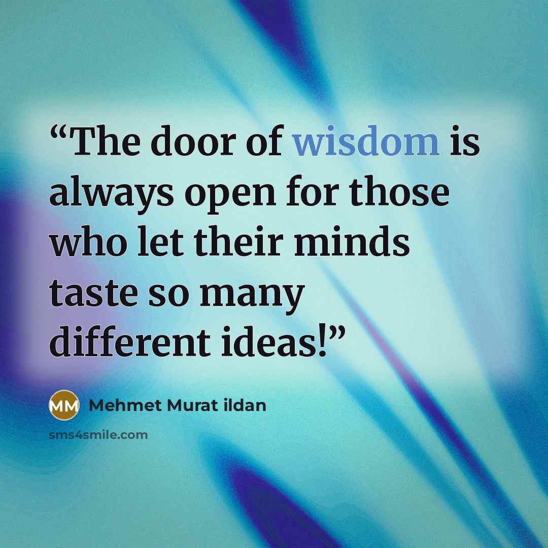 “The door of wisdom is always open for those who let their minds taste so many different ideas!” quote by Mehmet Murat ildan