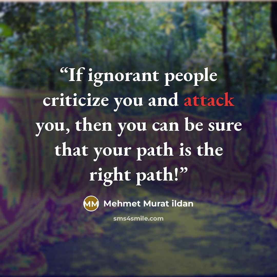 “If ignorant people criticize you and attack you, then you can be sure that your path is the right path!” quote by Mehmet Murat ildan