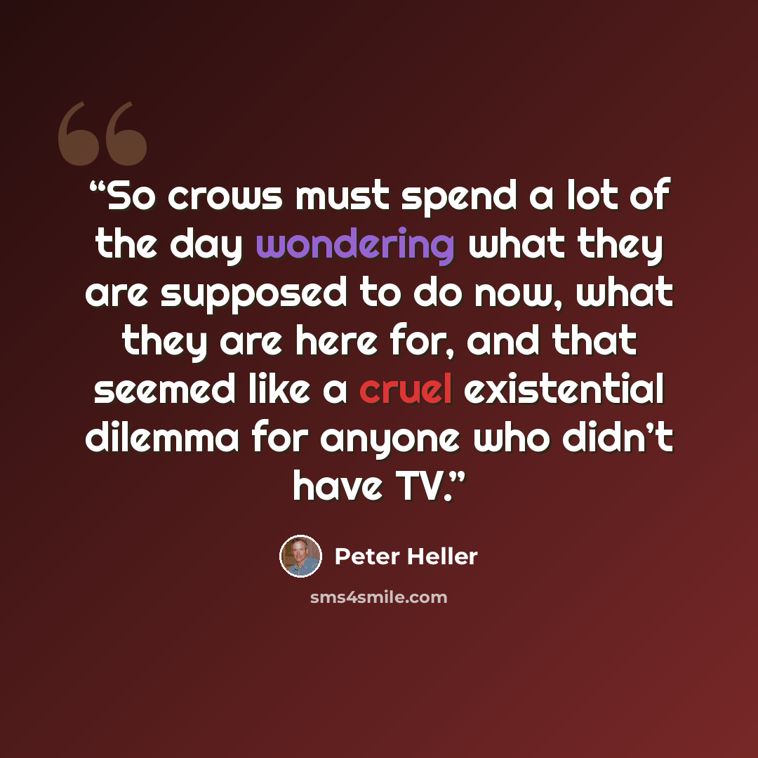 “So crows must spend a lot of the day wondering what they are supposed to do now, what they are here for, and that seemed like a cruel existential dilemma for anyone who didn’t have TV.” quote by Peter Heller