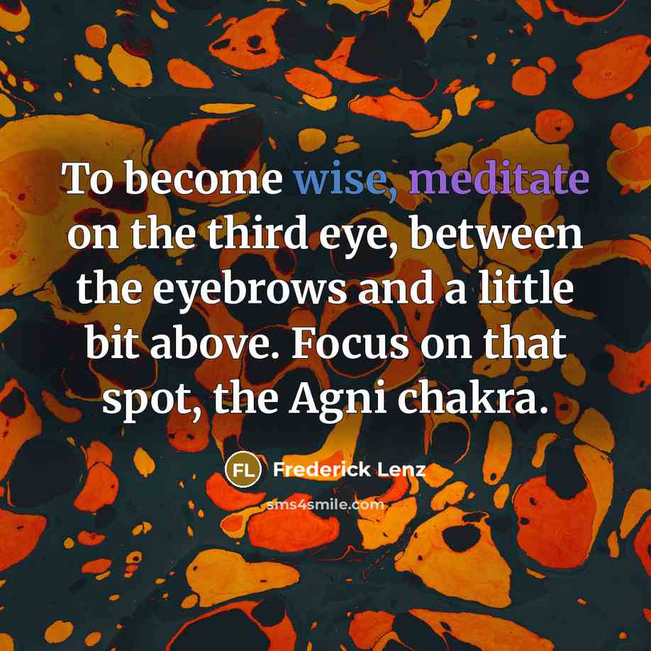 “To become wise, meditate on the third eye, between the eyebrows and a little bit above. Focus on that spot, the Agni chakra.” quote by Frederick Lenz