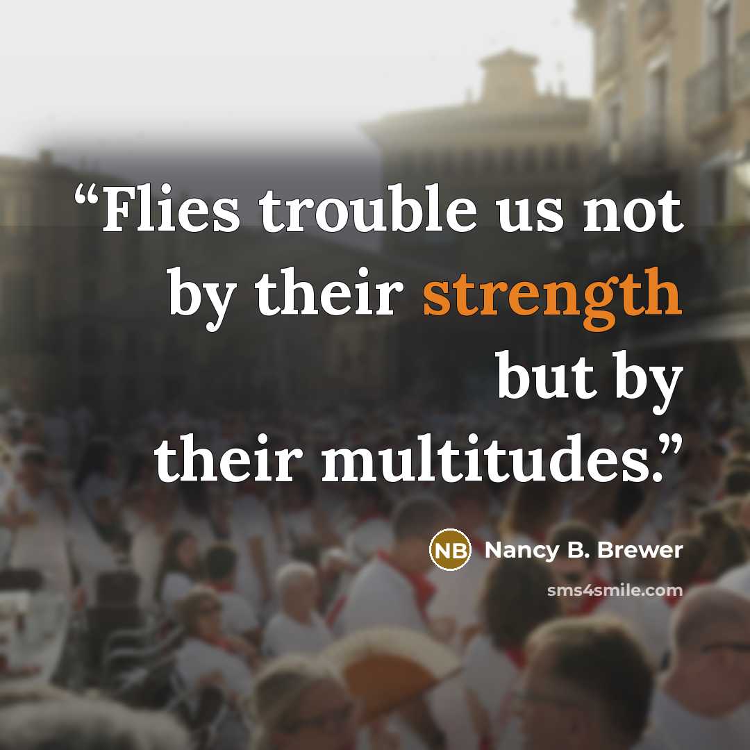 “Flies trouble us not by their strength but by their multitudes.” quote by Nancy B. Brewer