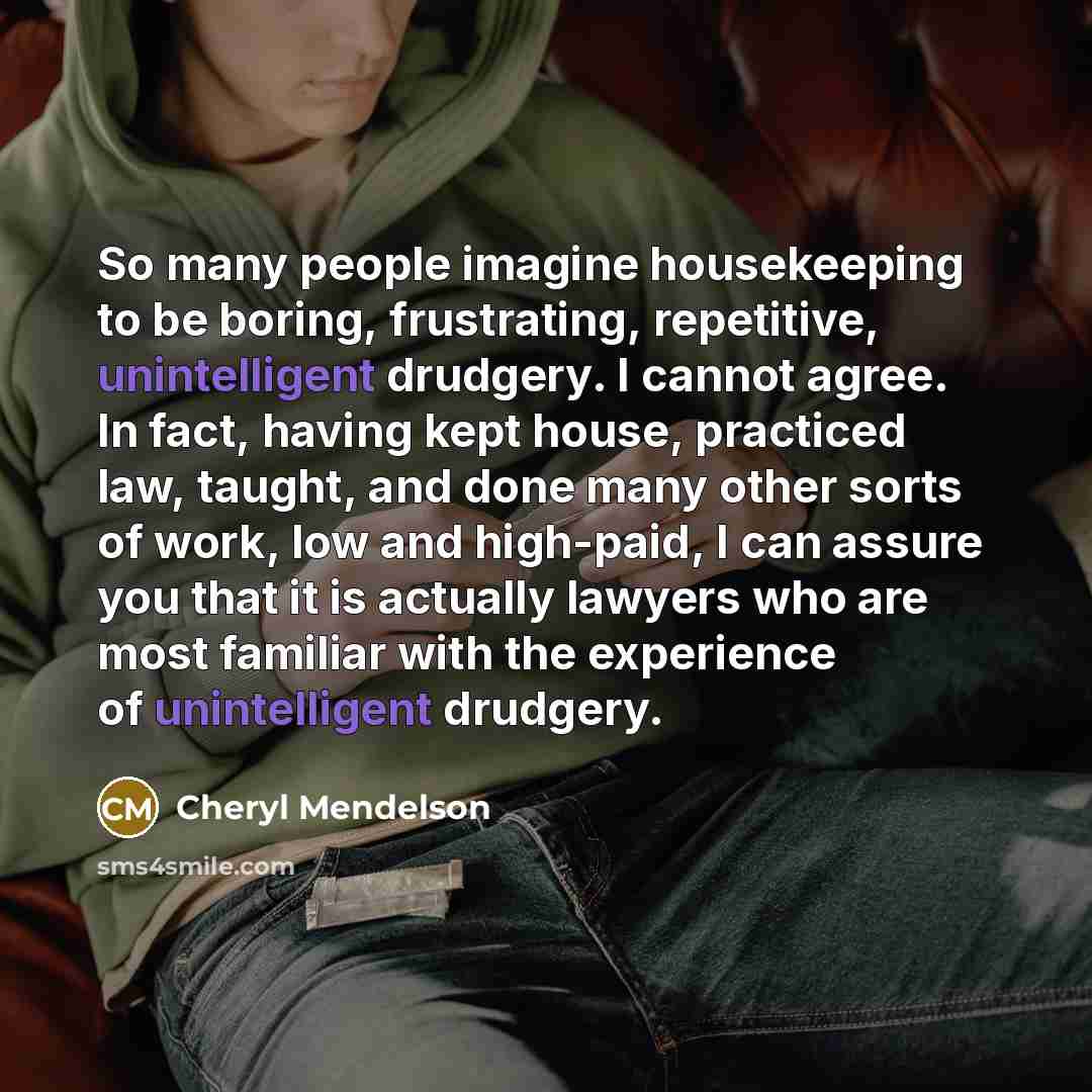 “So many people imagine housekeeping to be boring, frustrating, repetitive, unintelligent drudgery. I cannot agree. In fact, having kept house, practiced law, taught, and done many other sorts of work, low and high-paid, I can assure you that it is actually lawyers who are most familiar with the…” quote by Cheryl Mendelson