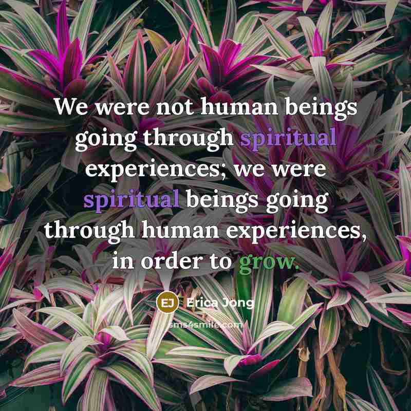 “We were not human beings going through spiritual experiences; we were spiritual beings going through human experiences, in order to grow.” quote by Erica Jong