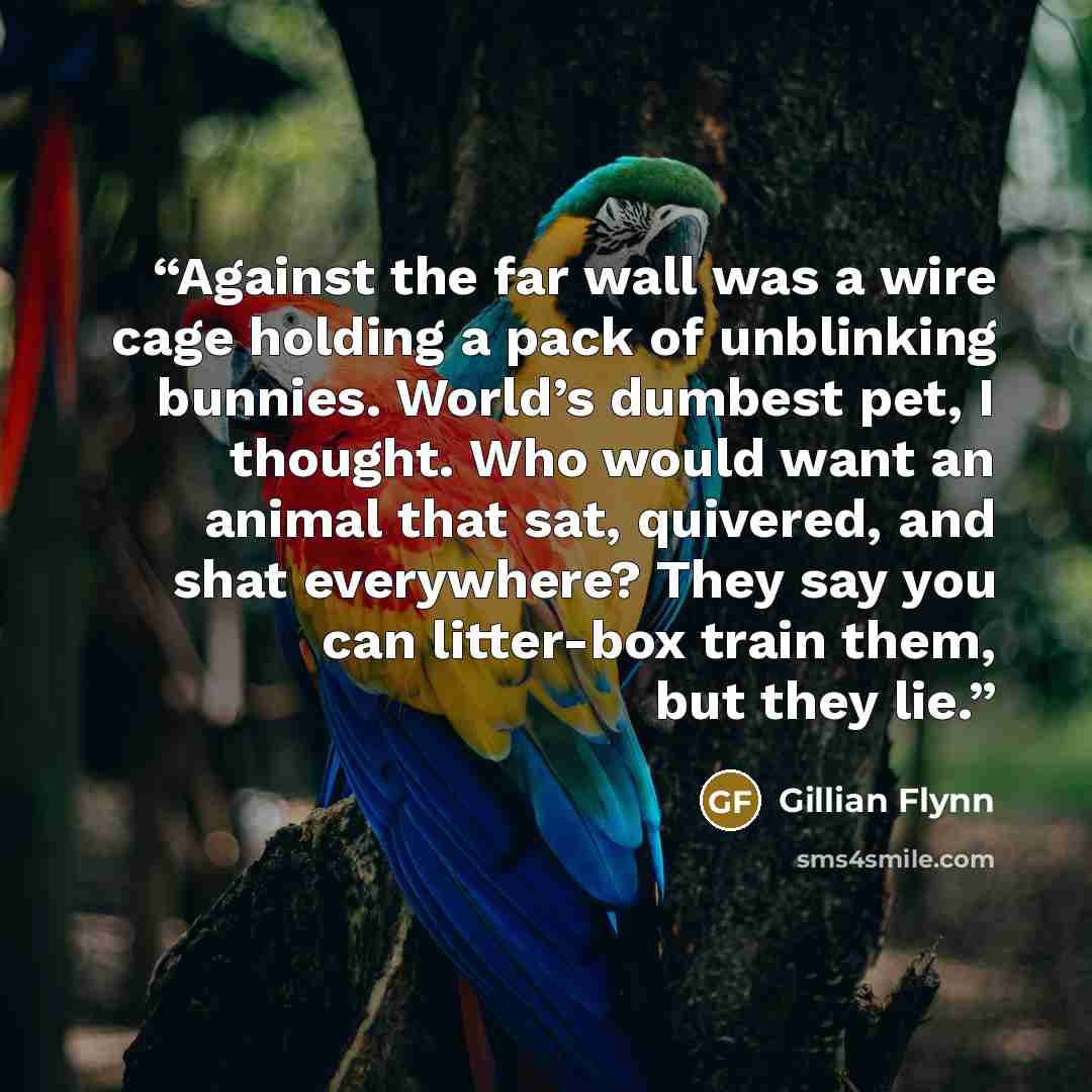“Against the far wall was a wire cage holding a pack of unblinking bunnies. World’s dumbest pet, I thought. Who would want an animal that sat, quivered, and shat everywhere? They say you can litter-box train them, but they lie.” quote by Gillian Flynn
