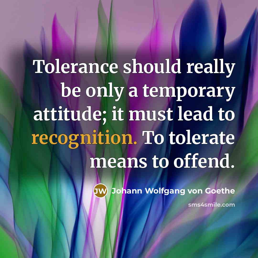 “Tolerance should really be only a temporary attitude; it must lead to recognition. To tolerate means to offend.” quote by Johann Wolfgang von Goethe