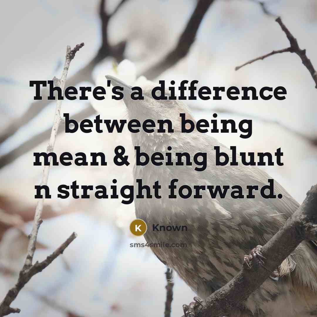 “There's a difference between being mean & being blunt n straight forward.” quote by Known