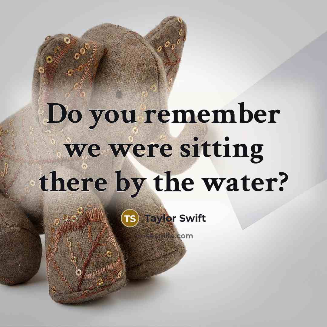 “Do you remember we were sitting there by the water?” quote by Taylor Swift
