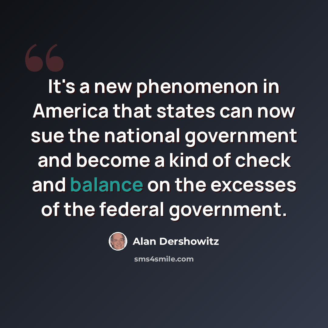 “It's a new phenomenon in America that states can now sue the national government and become a kind of check and balance on the excesses of the federal government.” quote by Alan Dershowitz