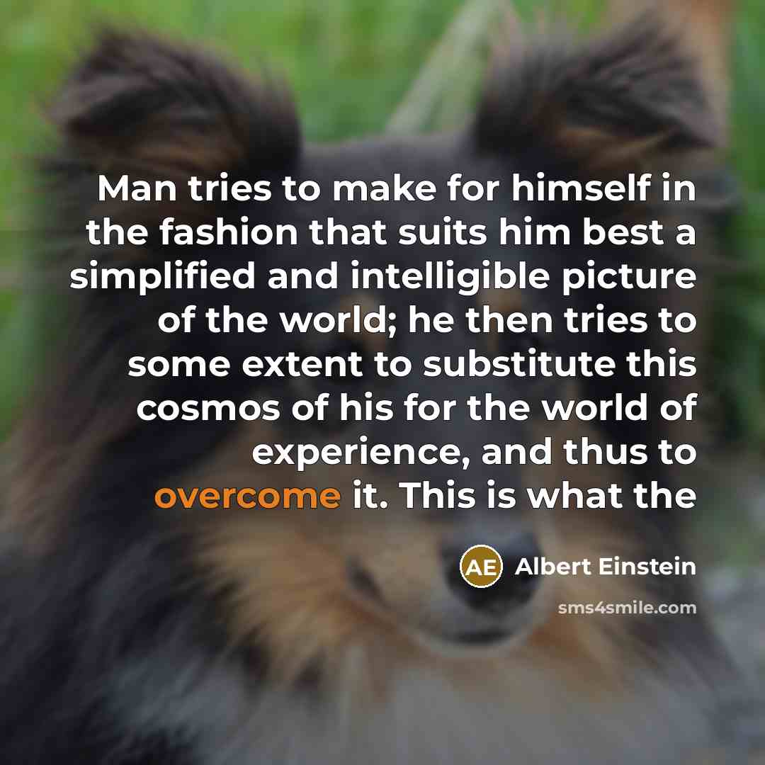 “Man tries to make for himself in the fashion that suits him best a simplified and intelligible picture of the world; he then tries to some extent to substitute this cosmos of his for the world of experience, and thus to overcome it. This is what the” quote by Albert Einstein