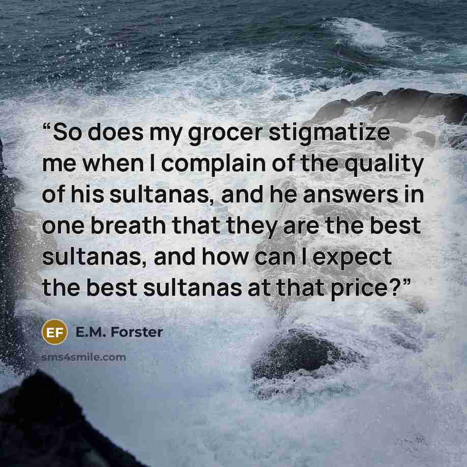 “So does my grocer stigmatize me when I complain of the quality of his sultanas, and he answers in one breath that they are the best sultanas, and how can I expect the best sultanas at that price?” quote by E.M. Forster