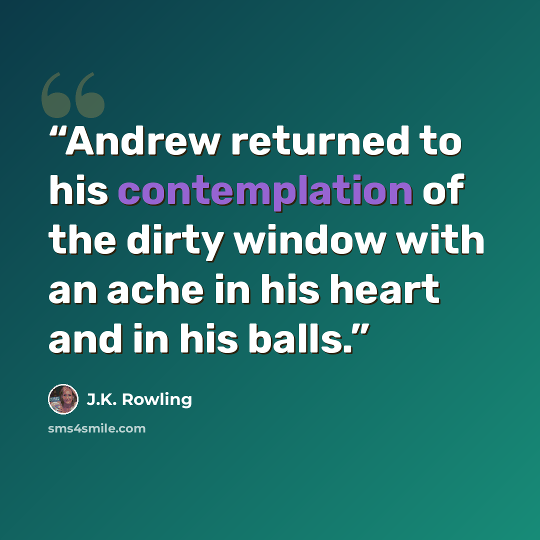 “Andrew returned to his contemplation of the dirty window with an ache in his heart and in his balls.” quote by J.K. Rowling