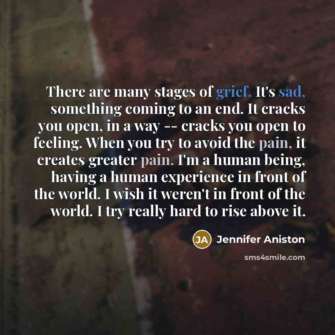 “There are many stages of grief. It's sad, something coming to an end. It cracks you open, in a way -- cracks you open to feeling. When you try to avoid the pain, it creates greater pain. I'm a human being, having a human experience in front of the world. I wish it weren't in front of the world. I…” quote by Jennifer Aniston