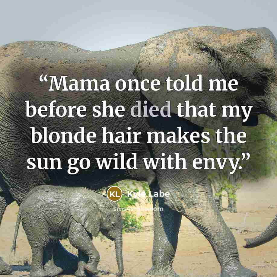 “Mama once told me before she died that my blonde hair makes the sun go wild with envy.” quote by Kyle Labe
