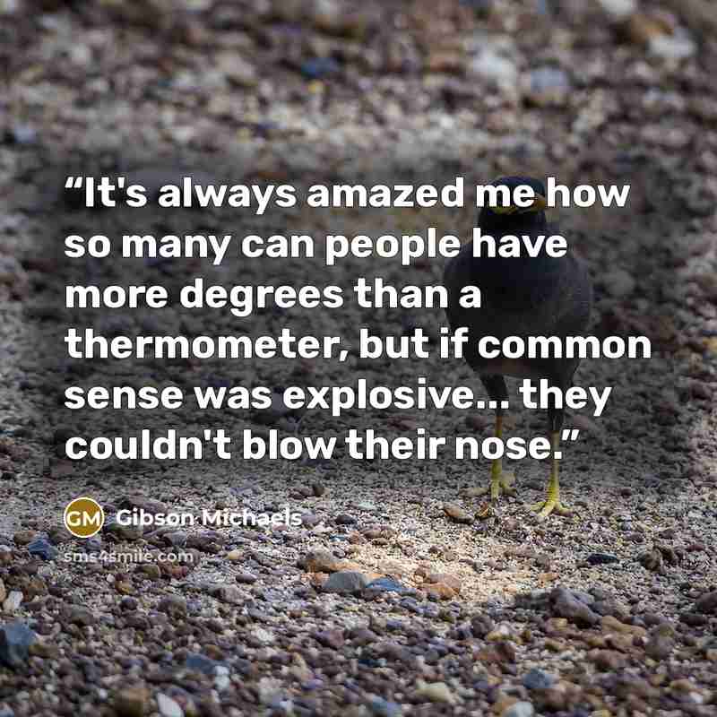 “It's always amazed me how so many can people have more degrees than a thermometer, but if common sense was explosive... they couldn't blow their nose.” quote by Gibson Michaels