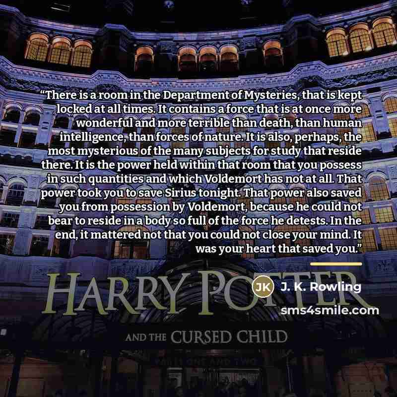 “There is a room in the Department of Mysteries, that is kept locked at all times. It contains a force that is at once more wonderful and more terrible than death, than human intelligence, than forces of nature. It is also, perhaps, the most mysterious of the many subjects for study that reside…” quote by J. K. Rowling