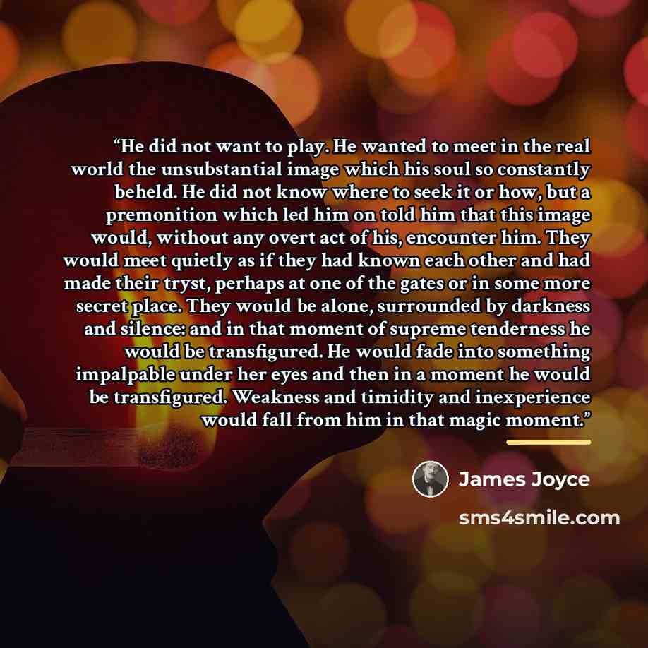 “He did not want to play. He wanted to meet in the real world the unsubstantial image which his soul so constantly beheld. He did not know where to seek it or how, but a premonition which led him on told him that this image would, without any overt act of his, encounter him. They would meet quietly…” quote by James Joyce
