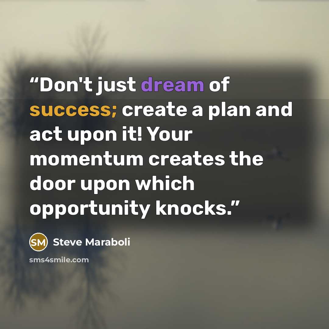 “Don't just dream of success; create a plan and act upon it! Your momentum creates the door upon which opportunity knocks.” quote by Steve Maraboli