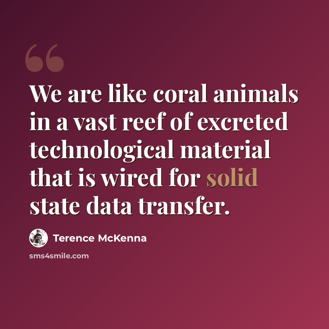 “We are like coral animals in a vast reef of excreted technological material that is wired for solid state data transfer.” quote by Terence McKenna