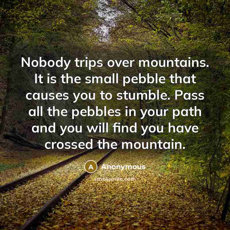“Nobody trips over mountains. It is the small pebble that causes you to stumble. Pass all the pebbles in your path and you will find you have crossed the mountain.” quote by Anonymous
