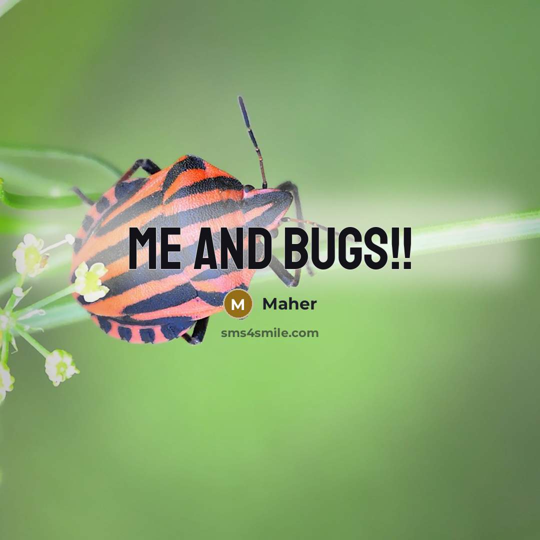 “Me and bugs!!” quote by Maher