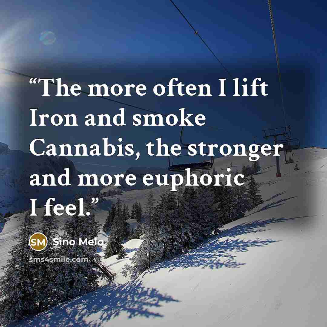 “The more often I lift Iron and smoke Cannabis, the stronger and more euphoric I feel.” quote by Sino Melo