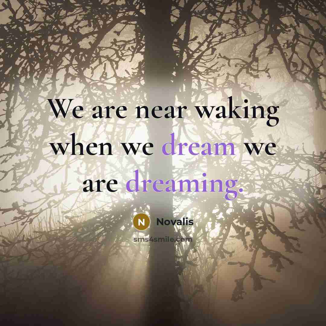 “We are near waking when we dream we are dreaming.” quote by Novalis