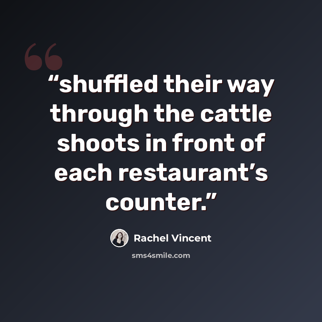 “shuffled their way through the cattle shoots in front of each restaurant’s counter.” quote by Rachel Vincent