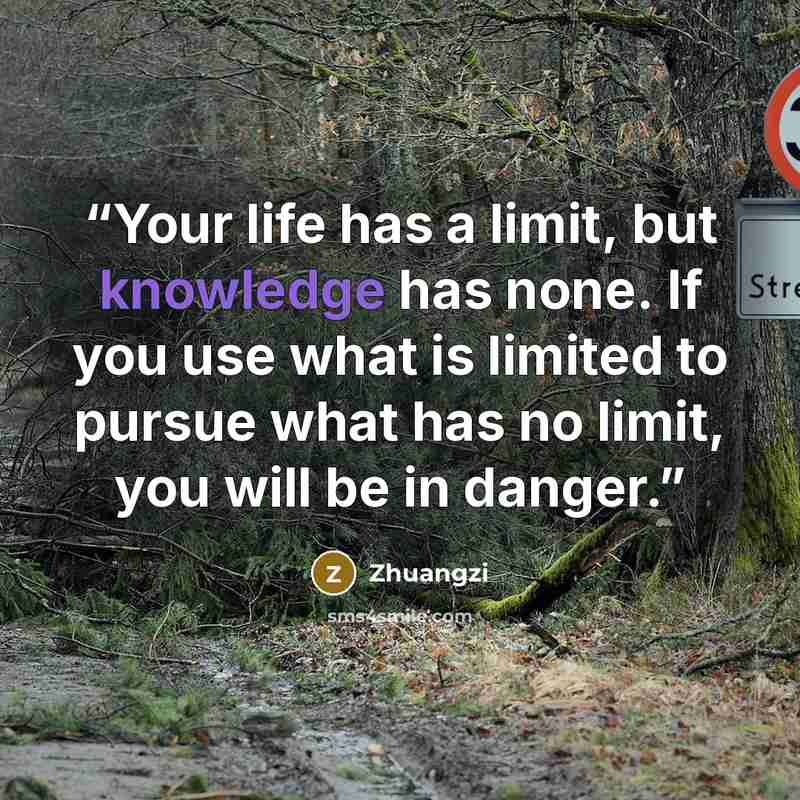 “Your life has a limit, but knowledge has none. If you use what is limited to pursue what has no limit, you will be in danger.” quote by Zhuangzi