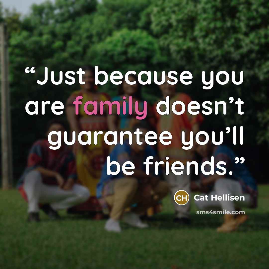 “Just because you are family doesn’t guarantee you’ll be friends.” quote by Cat Hellisen