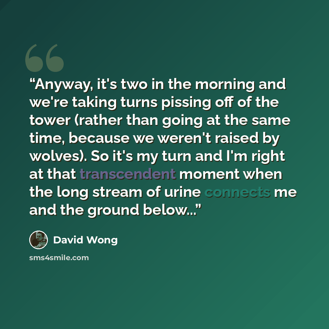 “Anyway, it's two in the morning and we're taking turns pissing off of the tower (rather than going at the same time, because we weren't raised by wolves). So it's my turn and I'm right at that transcendent moment when the long stream of urine connects me and the ground below...” quote by David Wong