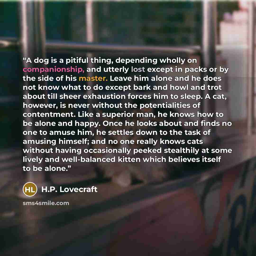“A dog is a pitiful thing, depending wholly on companionship, and utterly lost except in packs or by the side of his master. Leave him alone and he does not know what to do except bark and howl and trot about till sheer exhaustion forces him to sleep. A cat, however, is never without the…” quote by H.P. Lovecraft