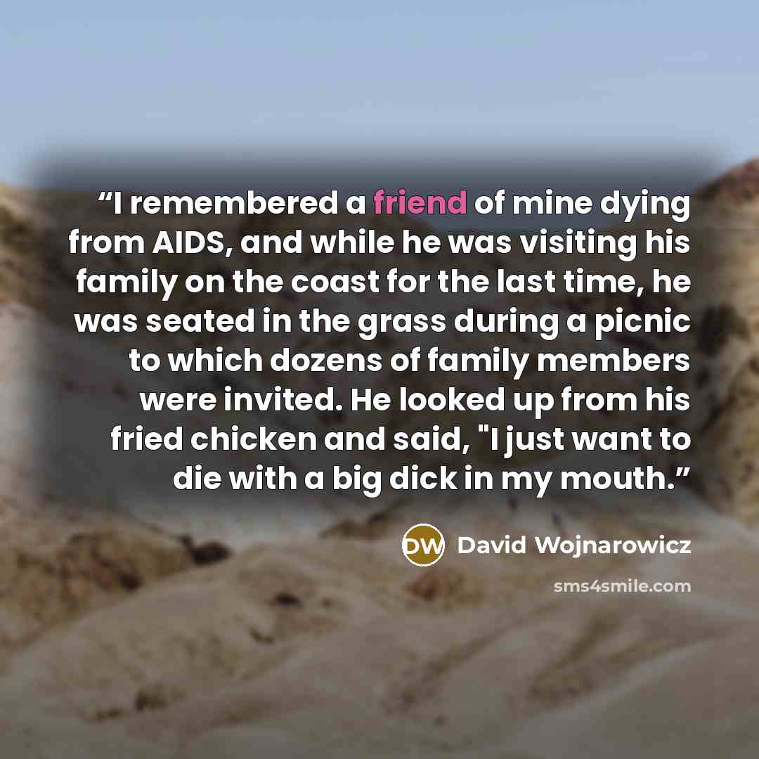 “I remembered a friend of mine dying from AIDS, and while he was visiting his family on the coast for the last time, he was seated in the grass during a picnic to which dozens of family members were invited. He looked up from his fried chicken and said, "I just want to die with a big dick in my…” quote by David Wojnarowicz