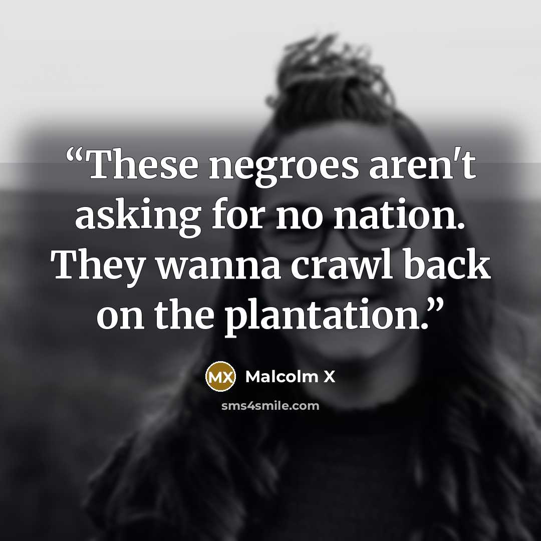 “These negroes aren't asking for no nation. They wanna crawl back on the plantation.” quote by Malcolm X