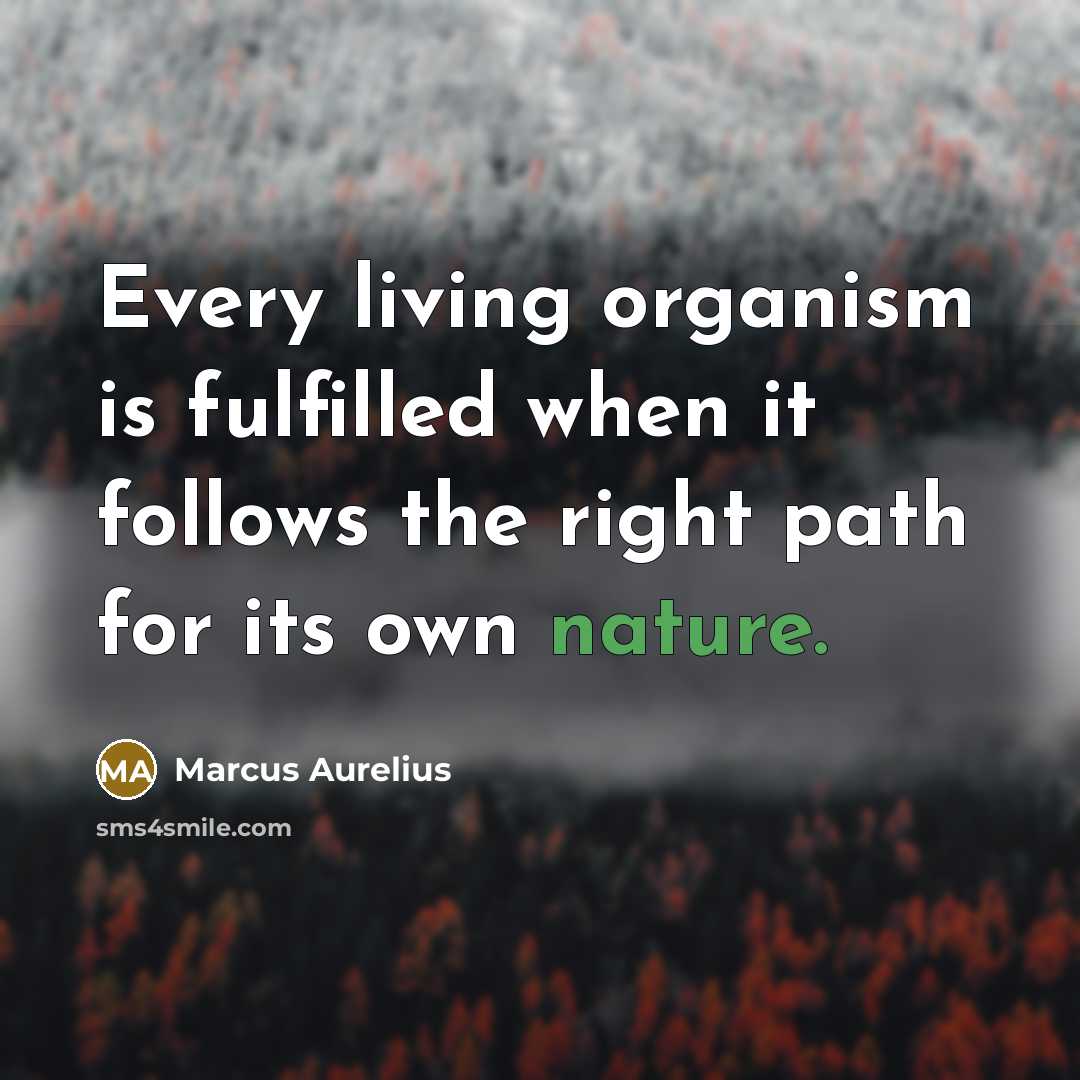 “Every living organism is fulfilled when it follows the right path for its own nature.” quote by Marcus Aurelius