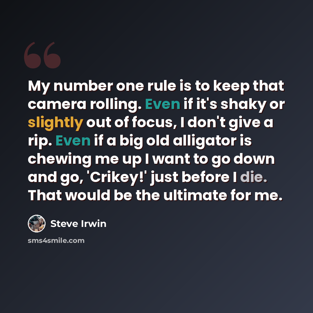 “My number one rule is to keep that camera rolling. Even if it's shaky or slightly out of focus, I don't give a rip. Even if a big old alligator is chewing me up I want to go down and go, 'Crikey!' just before I die. That would be the ultimate for me.” quote by Steve Irwin