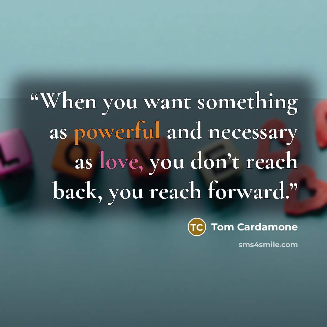 “When you want something as powerful and necessary as love, you don’t reach back, you reach forward.” quote by Tom Cardamone